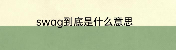 swag到底是什么意思
