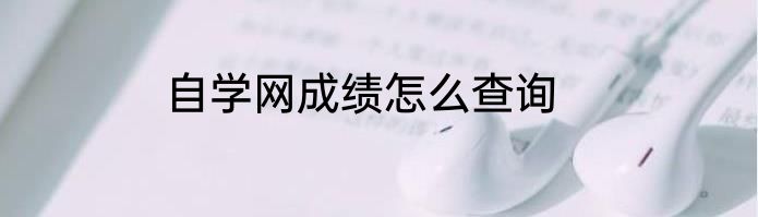 自学网成绩怎么查询