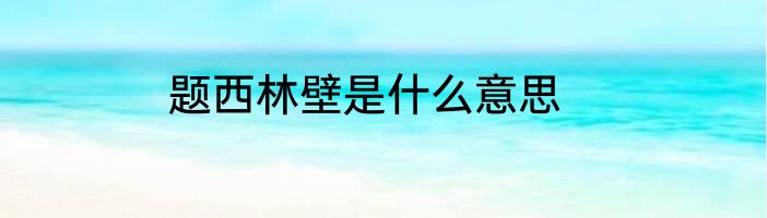 题西林壁是什么意思
