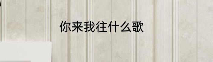 你来我往什么歌