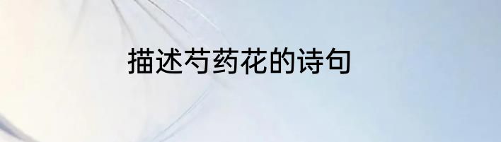 描述芍药花的诗句