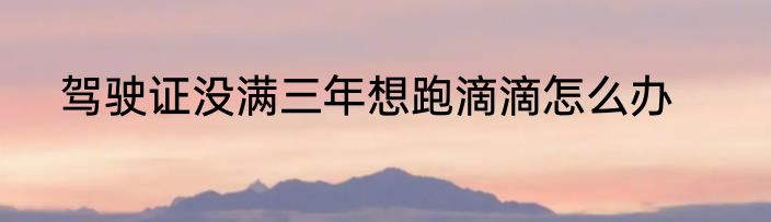 驾驶证没满三年想跑滴滴怎么办
