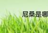 尼桑是哪个国家的品牌
