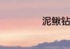 泥鳅钻豆腐的做法