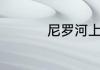 尼罗河上的惨案的真相