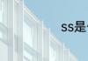 ss是什么污染物