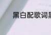 黑白配歌词黑白配歌词是什么
