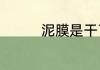 泥膜是干了洗掉还是撕掉