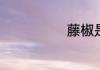 藤椒是什么东西