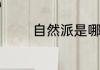 自然派是哪个公司的品牌呀