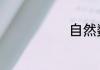 自然数e是什么