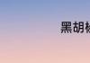 黑胡椒酱的做法