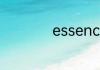 essence是什么牌子