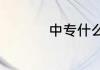 中专什么意思是高中吗