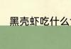 黑壳虾吃什么食物黑壳虾吃啥食物