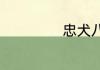 忠犬八公是什么狗