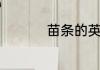 苗条的英文单词怎么写