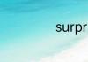 surprised的翻译