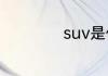 suv是什么suv简介