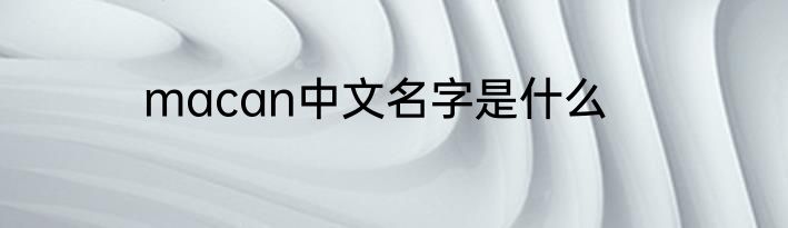 macan中文名字是什么