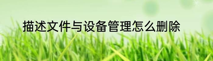 描述文件与设备管理怎么删除