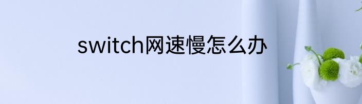 switch网速慢怎么办