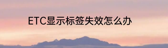 ETC显示标签失效怎么办