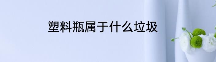 塑料瓶属于什么垃圾