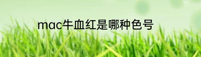 mac牛血红是哪种色号