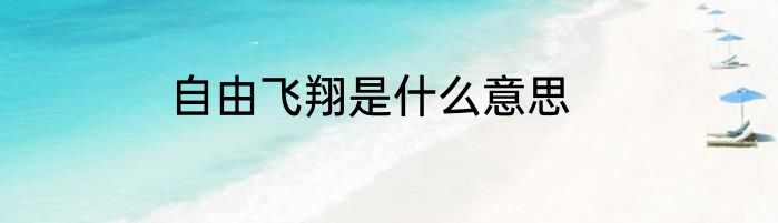 自由飞翔是什么意思