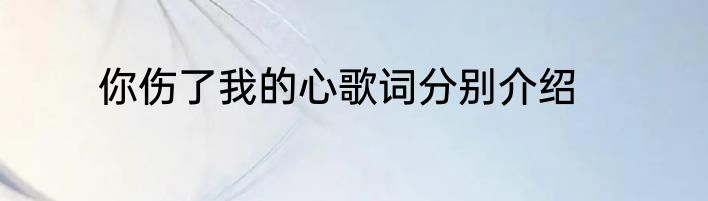 你伤了我的心歌词分别介绍