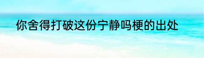 你舍得打破这份宁静吗梗的出处