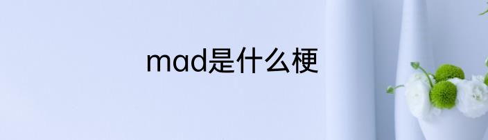 mad是什么梗