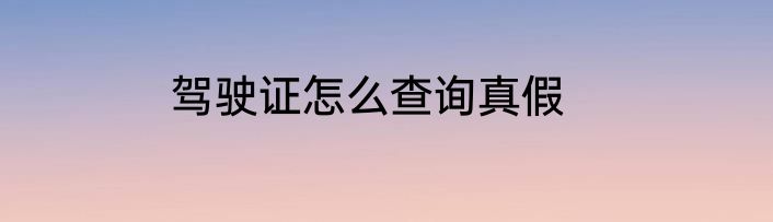 驾驶证怎么查询真假