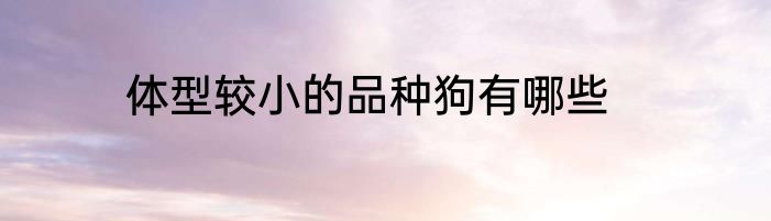 体型较小的品种狗有哪些