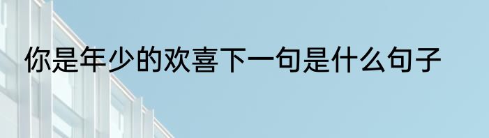 你是年少的欢喜下一句是什么句子