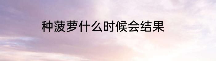 种菠萝什么时候会结果
