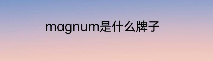 magnum是什么牌子