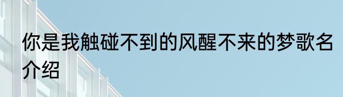 你是我触碰不到的风醒不来的梦歌名介绍
