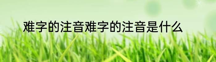 难字的注音难字的注音是什么