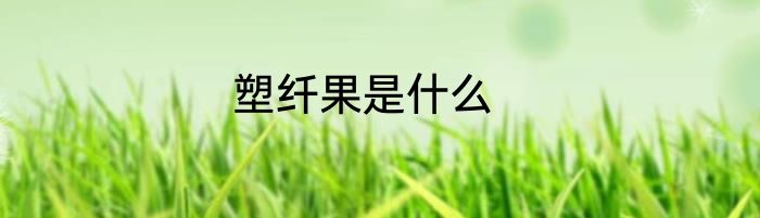 塑纤果是什么