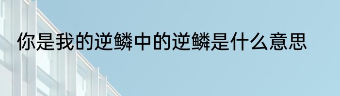 你是我的逆鳞中的逆鳞是什么意思