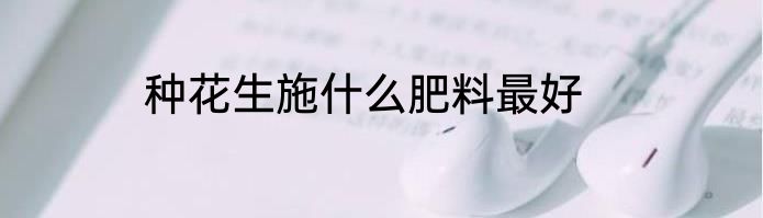 种花生施什么肥料最好
