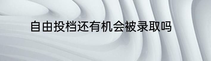 自由投档还有机会被录取吗