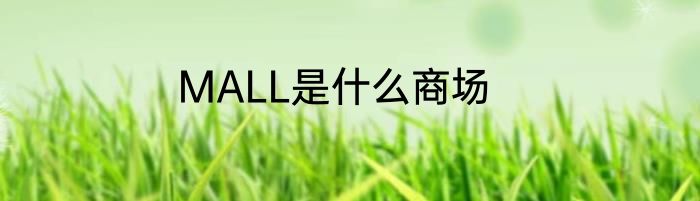 MALL是什么商场
