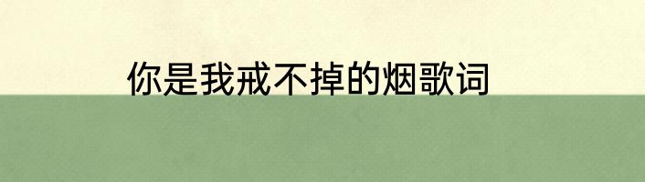 你是我戒不掉的烟歌词