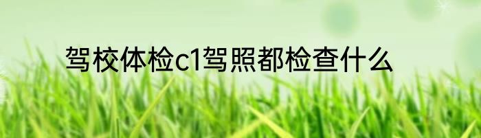 驾校体检c1驾照都检查什么
