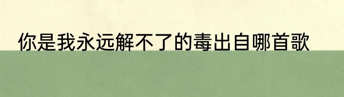 你是我永远解不了的毒出自哪首歌
