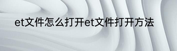 et文件怎么打开et文件打开方法