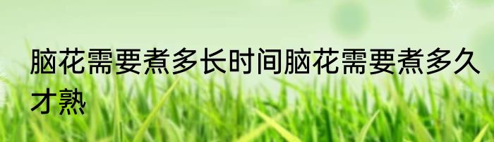 脑花需要煮多长时间脑花需要煮多久才熟
